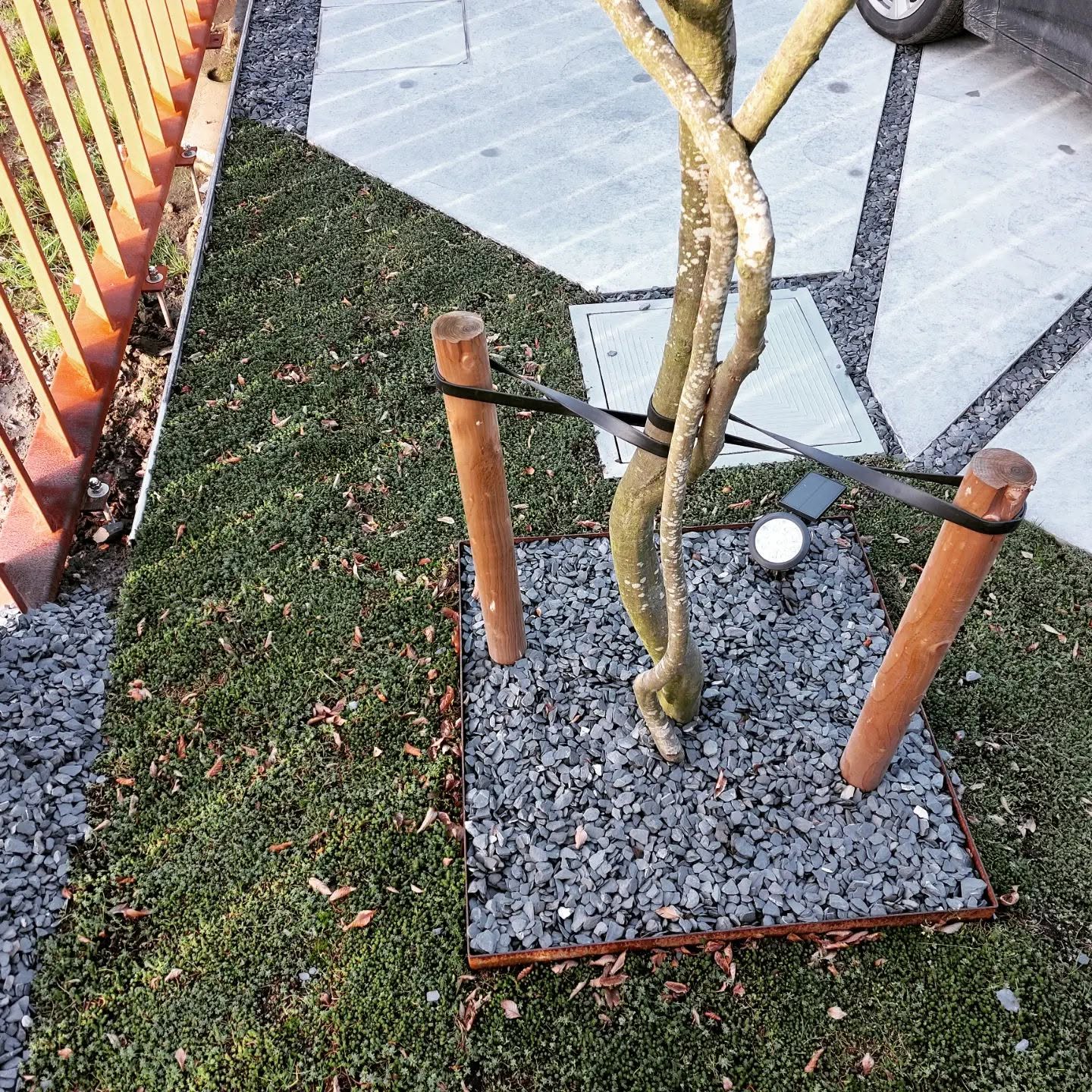 Boom in een plantvak met een boordrand in cortenstaal
